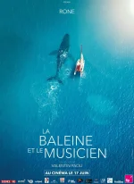 Affiche du film La Baleine et le musicien