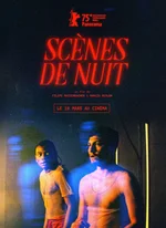 Affiche du film Scènes de nuit