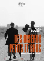 Affiche du film Des oiseaux petits et gros