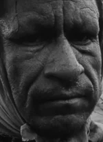 Affiche du film Paysans