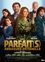 Affiche du film Les Parfait(s) : arnaques en famille