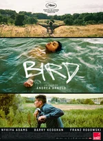 Affiche du film Bird
