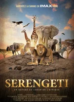 Affiche du film Serengeti : un voyage au coeur de l'Afrique