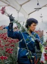 Affiche du film Amour, femmes et fleurs