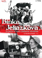 Affiche du film Le Ballon attaché