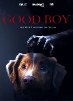 Affiche du film Good Boy